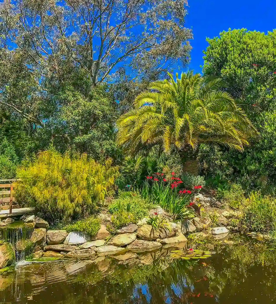 roscoff exotic garden