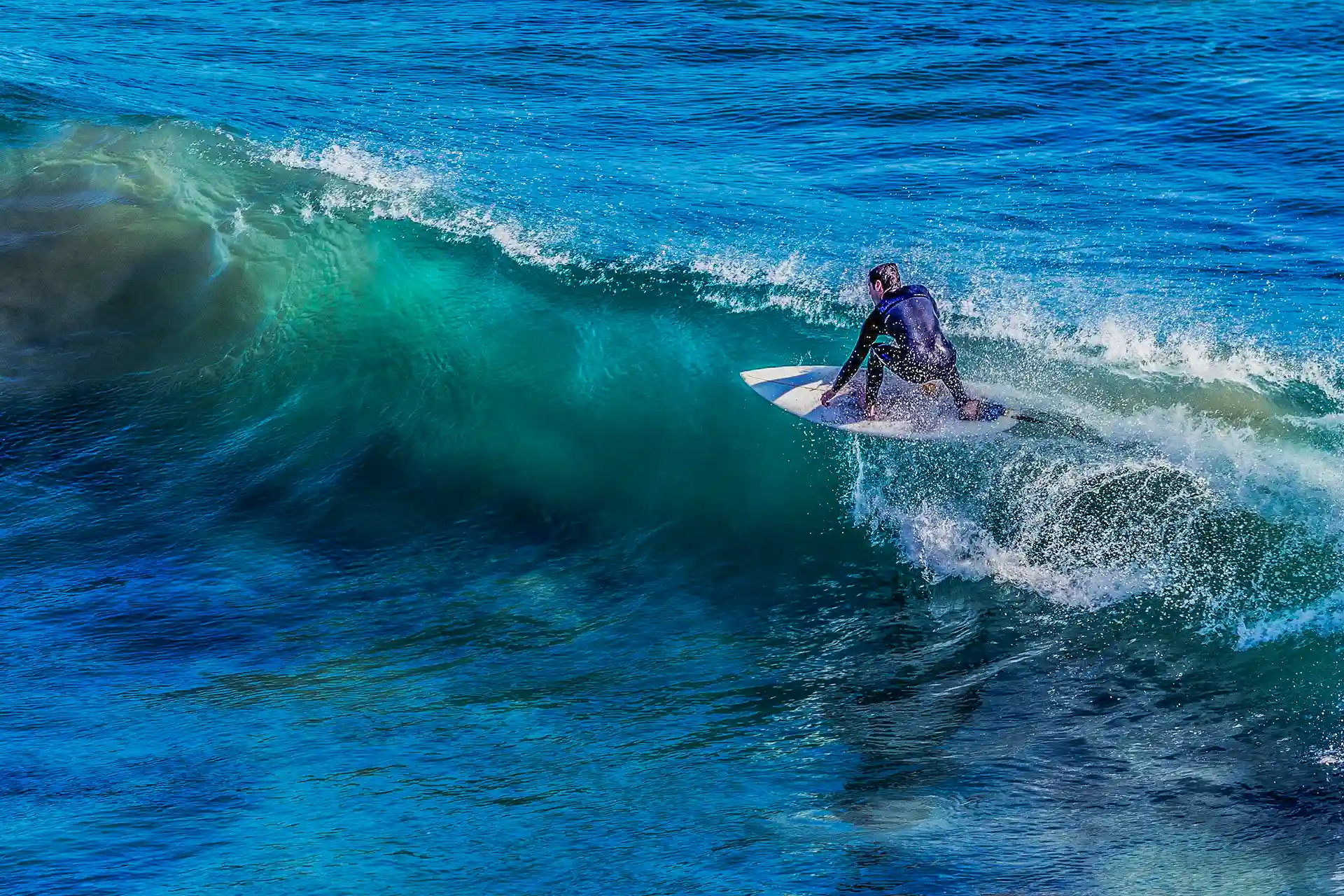 surfing the waves